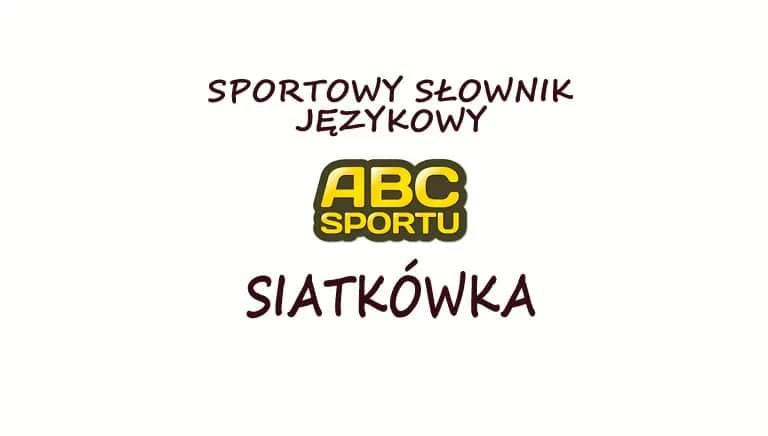 Słownik siatkarski: poznaj znaczenie wszystkich terminów w siatkówce